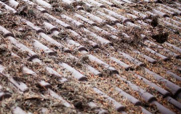 Humbledon roof cleaning companies